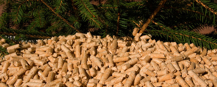 Premium softwood pellets - Malyn furniture factory